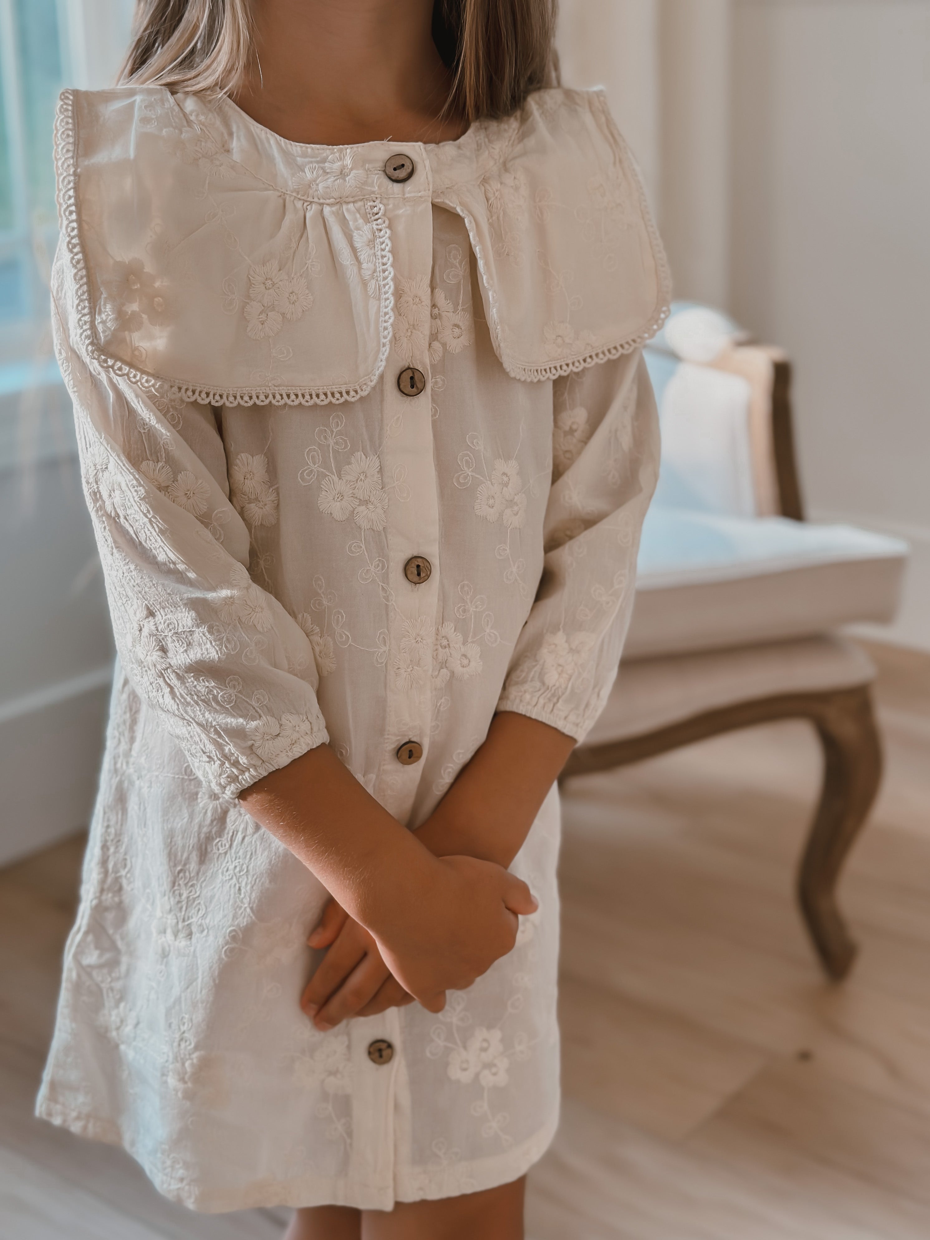 Coco Embroidered Dress